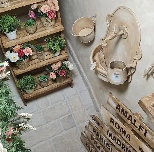 Infinity בית הארחה